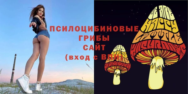 mdma Зеленокумск
