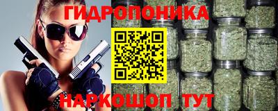 винт Кингисепп