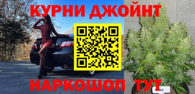 прущие крисы Гай