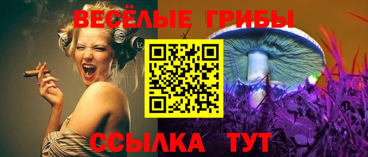 Псилоцибиновые грибы GOLDEN TEACHER Кемерово