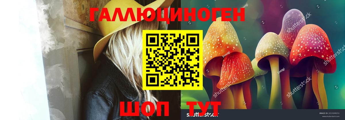 Галлюциногенные грибы Psilocybine cubensis  Псилоцибиновые грибы Magic Shrooms  Кемерово 